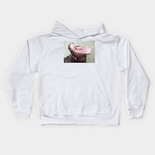 Hip Hip Hippo Kids Hoodie